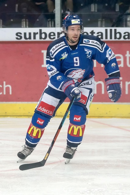 己的经验和 己的经验和