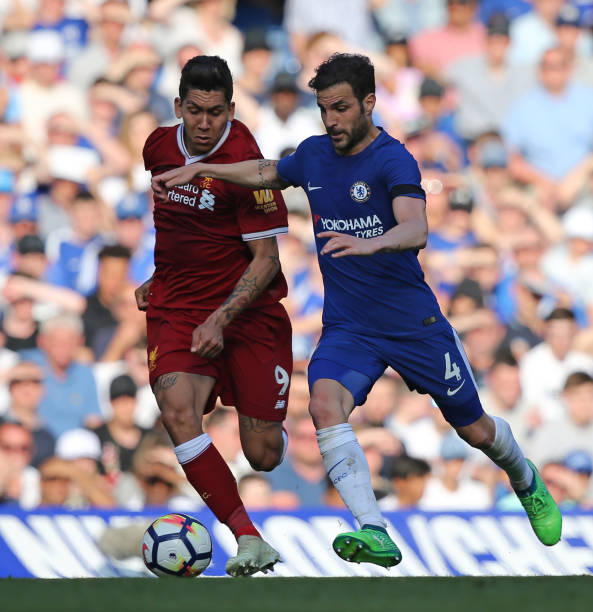 添了一股强 添了一股强